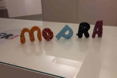 MoPraCongresso_2025_077